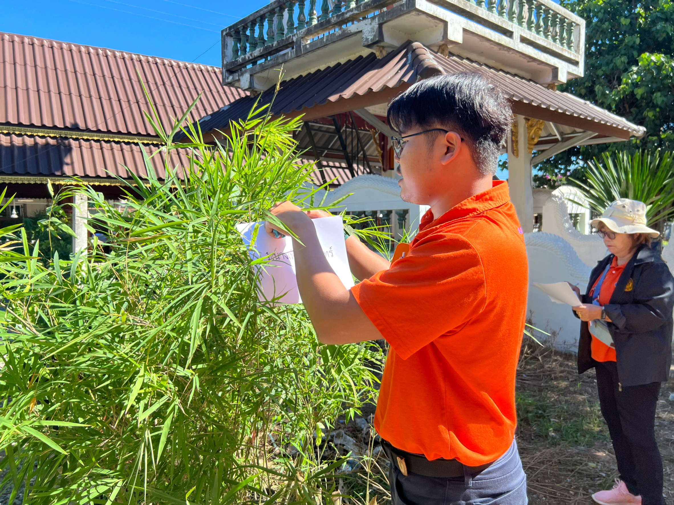 title - สนับสนุนปัจจัยการผลิต (พันธุ์ไม้) ภายใต้โครงการส่งเสริมระบบวนเกษตรในเขตปฏิรูปที่ดินจังหวัดสุโขทัย ปีงบประมาณ พ.ศ.2566